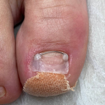 Віктория Ліра, Звенигородка Фото - 5