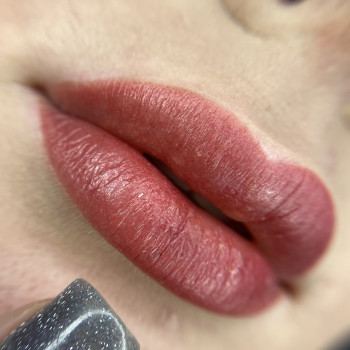 Перманентний макіяж губ
                    Бровіст Олена Житомир