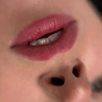 ЗАГОЄНІ губки