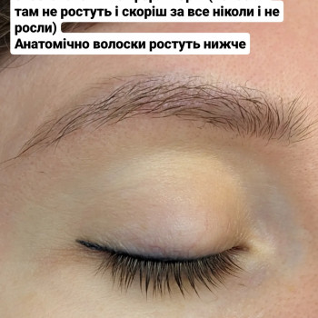 Ламінування брів, моделювання анатомічної форми та фарбування брів
                    Бровист Світлана Киев