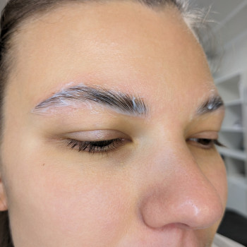 Ламінування брів, моделювання анатомічної форми та фарбування брів
                    Бровист Світлана Киев