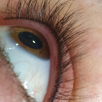 Перманентний макіяж
                    Лешмейкер  Винница