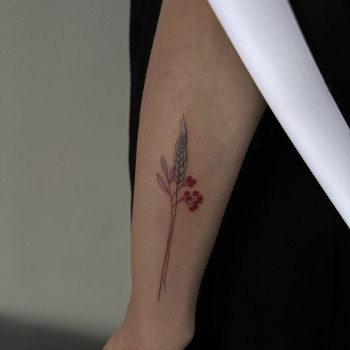 Анастасія Вовченко, Василькíв Фото - 18