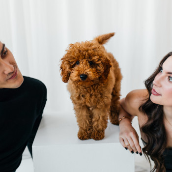 Мінімальний пакет
                    Фотограф Алико Київ