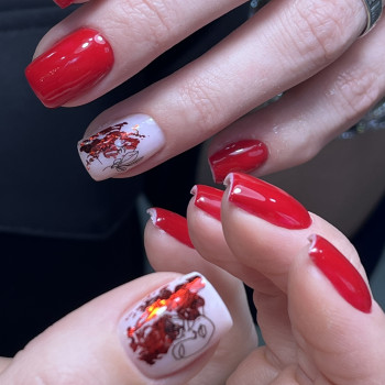 MK Novik, Запоріжжя Фото - 98