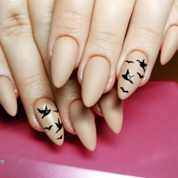 ALTEYA, Павлоград Фото - 5