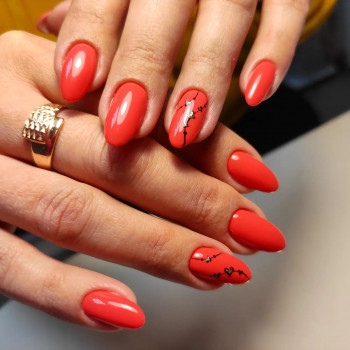 ALTEYA, Павлоград Фото - 76