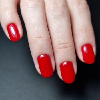 Альонка Кокарева, Киев Фото - 16