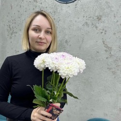 Хитрук Юлія