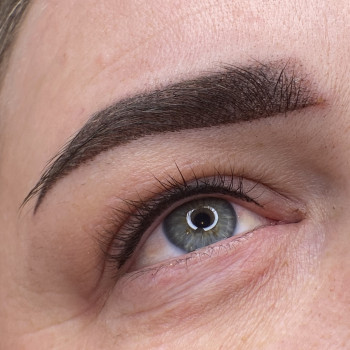 Пудровое напиление бровей та меж ресничка ?
