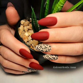 Орфея, Одесса Фото - 30