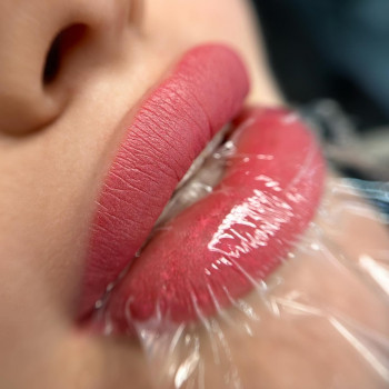 Губки в процесі