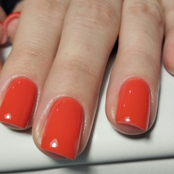 Тетяна Міщенко, Запоріжжя Фото - 17