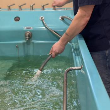 SPA Альпійська Гармонія
                    Салон красоты Імперія краси Кременчуг