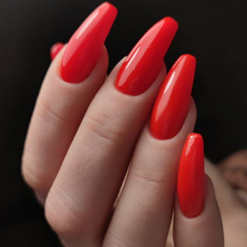 Манікюр-комплекс з покриттям
                    Салон красоты Blueberry beauty club Киев