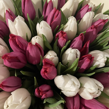 Добрий ранок☀️☀️