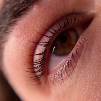 Ламинирование ресниц
                    Салон красоты MK Novik Запорожье