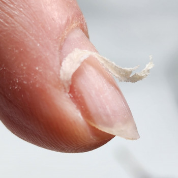 Манікюр, фото - Навчальний центр Академія Нігтьових Технологий Галини Старенко