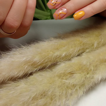 Олена Лихойда, Каменец-Подольский Фото - 3