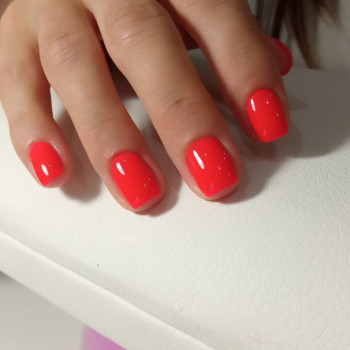 Олена Лихойда, Каменец-Подольский Фото - 4