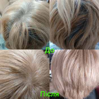 Фарбування коріння+ тонування по довжині. Все зроблено за допомогою фарби. Час 1.45 , Ціна 550 грн.