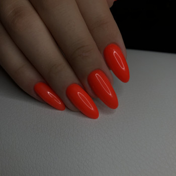 Татьяна Колле-Колесникова, Киев Фото - 24