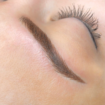 Комбінована техніка (волосок+пудра)