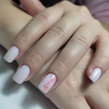 Олена Стасевич, Киев Фото - 93