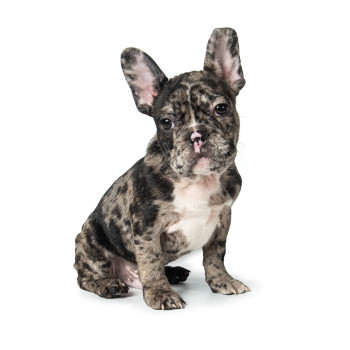 Каталожна зйомка товару на білому фоні
                    Фотограф Александр Черновцы