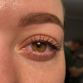 Ламинирование ресниц
                    Бровист Таисия Львов