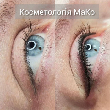 Перманентний макіяж губ, брів, міжвійка  #перманентгуб #перманентбрів #перманентміжвійка, фото -  