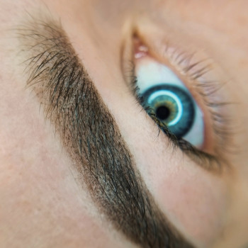 Пудрове напилення брів

 