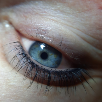 Ліля Цикал, Житомир Фото - 14