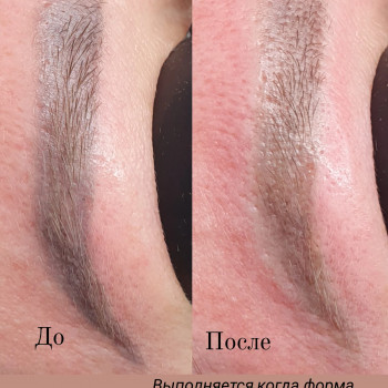 Lavanda, Покровськ Фото - 13