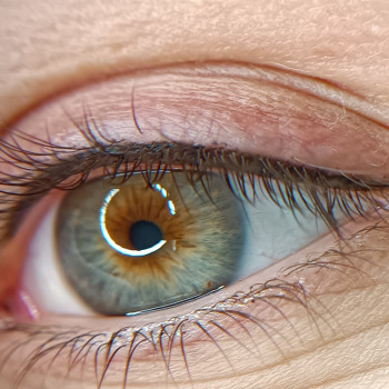 Людмила Мекшун, Чернігів Фото - 9