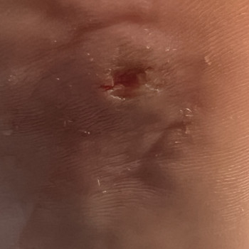 Наталья Косицкая, Киев Фото - 10