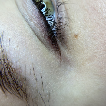      трілкакропивницький