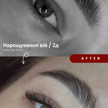2д, нарощеннявій