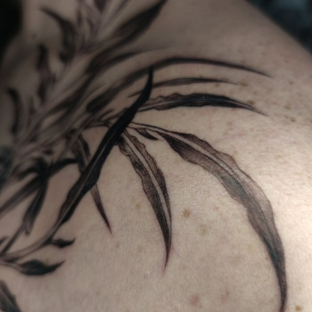 Вікторія Матеренко, Харків Фото - 42