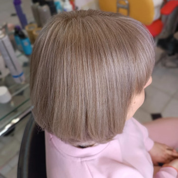 Інтеграція сивини