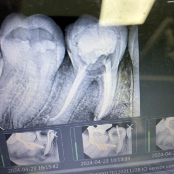 Артем Галамай, Львов Фото - 7