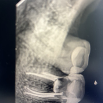 Артем Галамай, Львов Фото - 10