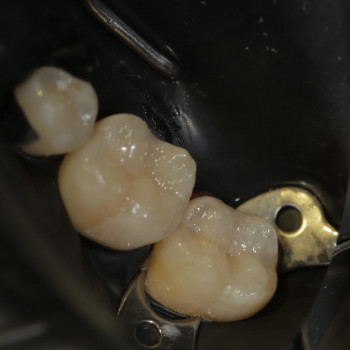 Елена Майорова, Харьков Фото - 7