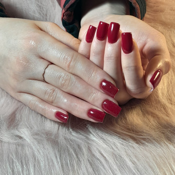 Антоніна Довгаль, Київ Фото - 1