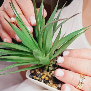 Людмила Петрова, Мукачево Фото - 9