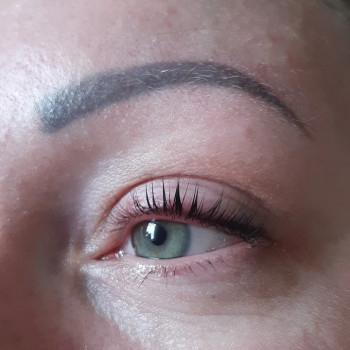 Ламінуванння + фарбування вій🌺