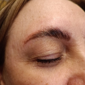 Ламінування + корекція (віск/пінцет) + фарбування брів
                    Бровіст Юлия Запоріжжя