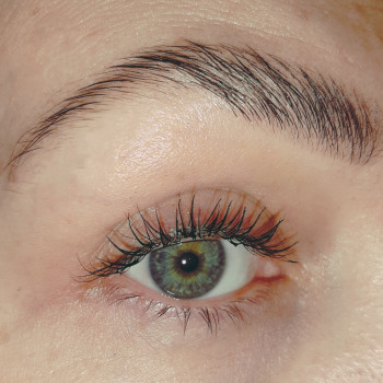 Ламінування + корекція (віск/пінцет) + фарбування брів
                    Бровіст Юлия Запоріжжя