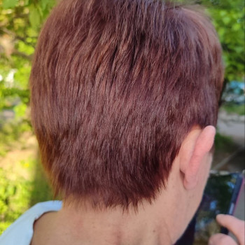 Lady's City, Харьков Фото - 63