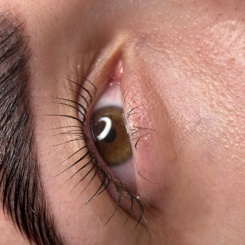 Ламі брів вій